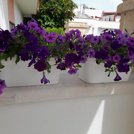 Casa A Mare سبيكتشيولا